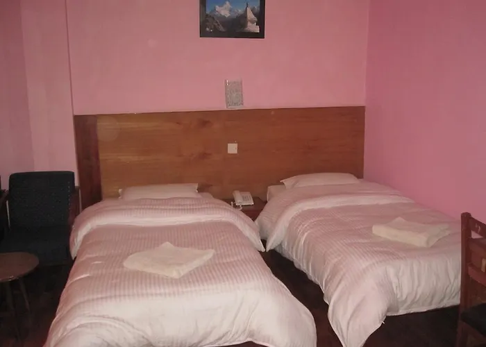 Tasi Dhargey Hotel *